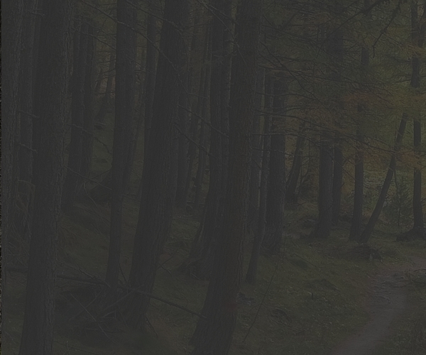 Environmental Risk Management